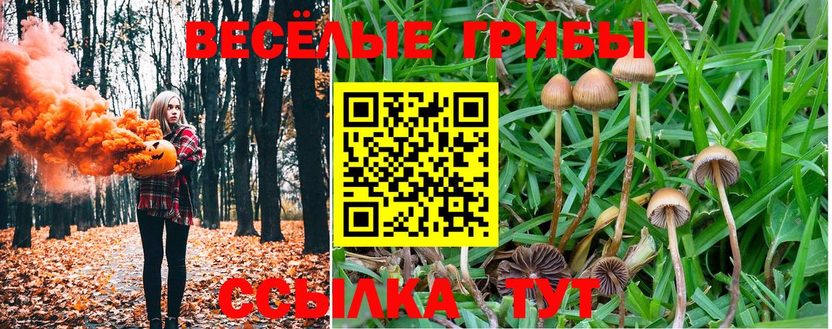 Псилоцибиновые грибы Cubensis  Вход с VPN  Ковров 